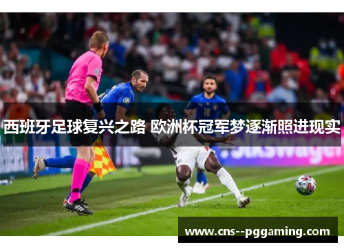 西班牙足球复兴之路 欧洲杯冠军梦逐渐照进现实