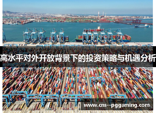 高水平对外开放背景下的投资策略与机遇分析